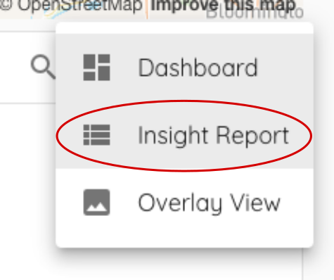 Add Insight Report Menu